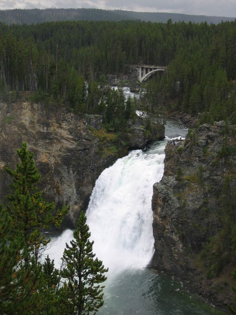 Falls