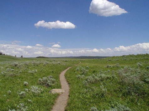 Hiking