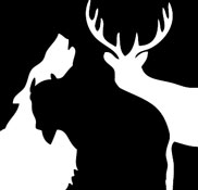 Project Site Logo