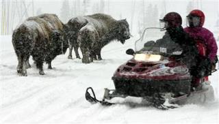 Snowmobiling