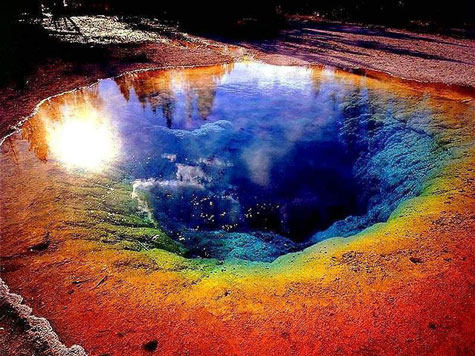 Springs